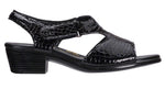 Women's Suntimer - Black Croc